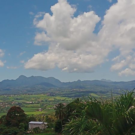 Martinique Vue D'Exception Et Piscine Villa Le Lamentin Exteriör bild